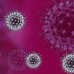 Melatonina é uma barreira contra o coronavírus no pulmão, diz estudo brasileiro