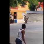 Vídeo Bagaça: casal nóia – deu vontade foi no meio da rua mesmo