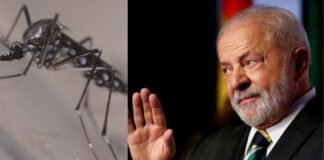 Lula negligenciou compra de vacinas em 2023 e dengue bate recorde