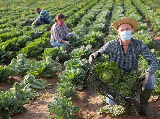 CNA analisa medidas que impactam produtores rurais