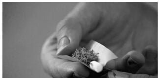 Maconha: o que mudou no Uruguai após 10 anos da legalização?