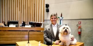 Sancionada lei que que cria o Dia de Combate ao Tráfico de Animais Silvestres