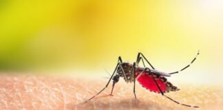 GDF decreta situação de emergência na saúde para enfrentar a dengue