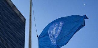 Países suspendem financiamento à agência da ONU em Gaza após escâncalo
