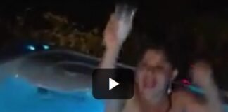 Vídeo: p3itolas ao ar dentro da jacuzzi