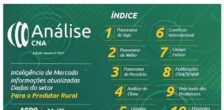 Análise CNA de janeiro traz comportamento da safra, clima, mercado de carnes e preços do frete