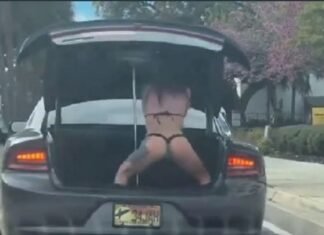 Vídeo: cara pôs um pole dance no Dodge, as pir4nha piram