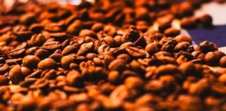 Prêmio CNA Brasil Artesanal seleciona melhores cafés especiais torrados