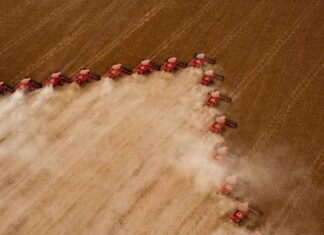 Apesar de quenda na indústria e contrução PIB cresce 2,9% em 2023 puxado pelo agronegócio