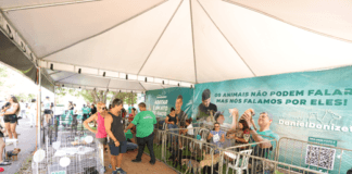 Parque da Cidade receberá a feira de adoção de pets “Audote um Amigo”