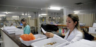 Farmacêuticos da rede pública do DF compartilham experiências em jornada