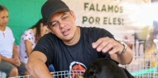 Comissão de Constituição e Justiça Aprova Projeto de Abrigo Público para animais resgatados