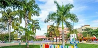 Encontro de Carrinhos de Rolimã no Paranoá terá ação educativa sobre Maio Amarelo