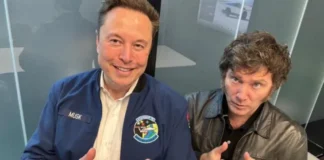 Milei oferece ajuda a Musk contra STF no Brasil