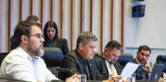 Comissão destaca impacto do PPCUB na competência legislativa distrital