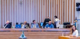 Comissão geral da CLDF discute vigilância para a febre aftosa