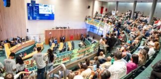 Retirada do Detran do Shopping Popular preocupa distritais