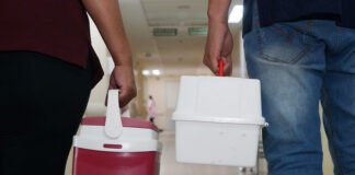 Distrito Federal lidera em taxa de transplantes de fígado por milhão de habitantes