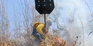 GDF investe em ações conjuntas para evitar incêndios na época da seca