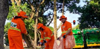 Dia Sem Lixo incentiva o descarte correto de resíduos