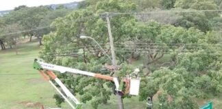 Endereços de Planaltina e Taguatinga sem energia nesta terça (28) para serviços na rede