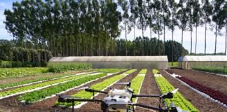 Evento vai orientar sobre agroindustrialização para aumentar renda do produtor rural