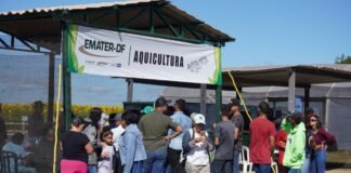 Produção intensiva de pescado será apresentada na AgroBrasília