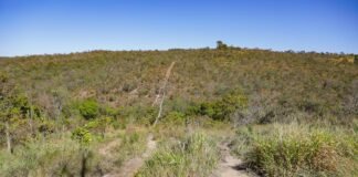Fórum Integrado promove conscientização sobre a proteção do Cerrado
