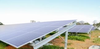 GDF inaugura primeira usina fotovoltaica pública no Dia Mundial do Meio Ambiente