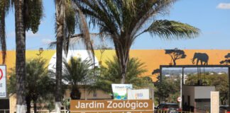 Zoológico de Brasília lança campanha para ajudar trabalhadores de zoos do RS