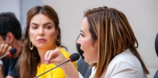 Aprovado projeto que inclui psicólogo e assistente social nos conselhos tutelares
