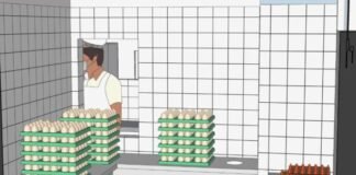 Emater-DF apresenta simulações no Circuito da Agroindústria da AgroBrasília