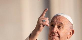 Papa Francisco fala em parar a “viadagem” na Igreja