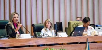 “Avanço em políticas para mulheres requer mais participação feminina na política”, pregam deputadas