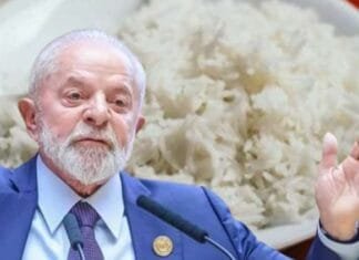 Governo Lula anula leilão do arroz após suspeita de fraude viralizar