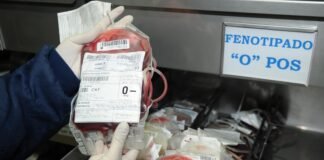 Evento estimula doação de sangue fenotipado para pacientes com doença falciforme