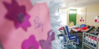 Lei garante fisioterapia a mulheres em tratamento de câncer; confira no Giro Distrital desta semana