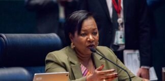 Adesão da CLDF ao movimento “ElesPorElas”, da ONU, vai incluir solenidades e homenagens