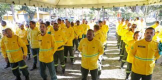 Combate a incêndios florestais recebe o reforço de 150 brigadistas