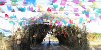 Novacap e Secretaria de Obras e Infraestrutura promovem festa junina no dia 27