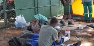 Acolhimento de pessoas em situação de rua com animais de estimação começa a ser estudado