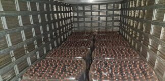 Auditores apreendem mais de R$ 850 mil em mercadorias irregulares