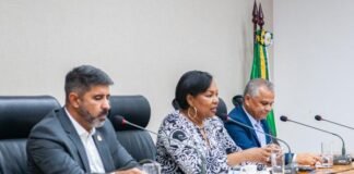 Projetos em defesa da igualdade de gênero e pelo fim da violência contra a mulher avançam na CLDF