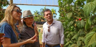 Agro do Quadrado: Rota da Fruticultura desperta interesse de missão da Malásia