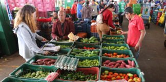 Alimentos da safra enriquecem nutricionalmente pratos típicos das festas juninas