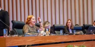 Audiência pública alerta para violência online contra meninas e mulheres