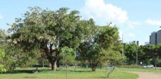 Proposta de mudança do nome do parque do Sudoeste é arquivada