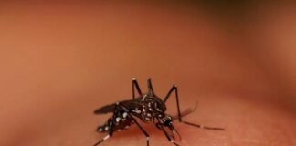 Nova lei institui protocolos preparatórios às doenças sazonais