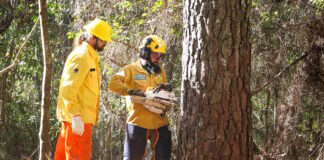Brigadistas brasileiros e americanos trocam conhecimentos para combate a incêndios florestais