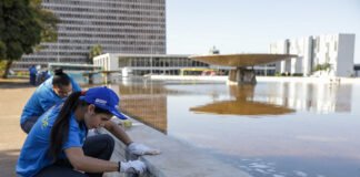 Alunos do RenovaDF trabalham em manutenção da Praça do Buriti